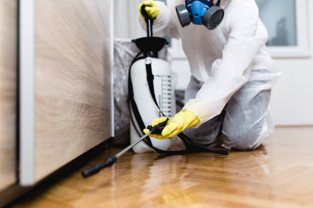 Best Termite Control Services  in La Cresta, CA