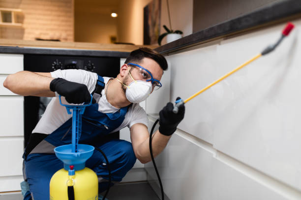 Wildlife Control Services in La Cresta, CA