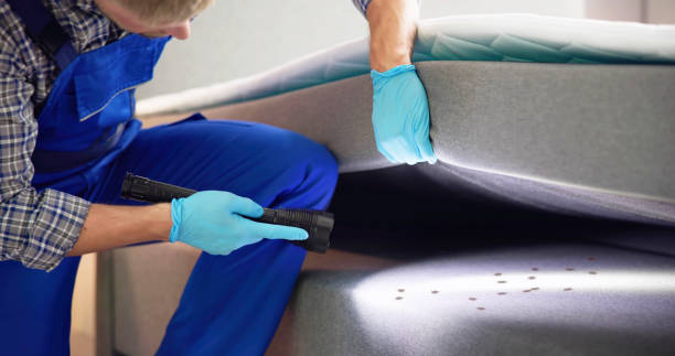 Best Exterminator Services  in La Cresta, CA