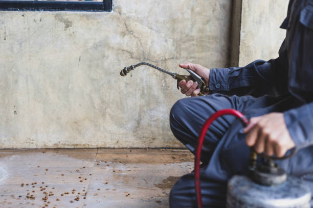 Pest Control for Restaurants in La Cresta, CA