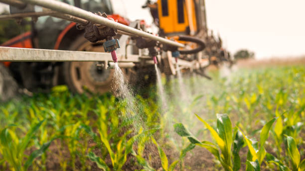Best Ant Control Services  in La Cresta, CA